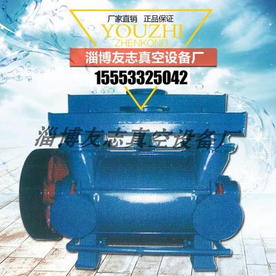 淄博友志2BEC系列水环真空泵 厂家直销与高端定制的工艺标杆